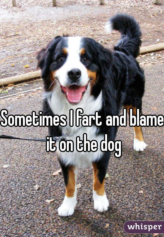 Sometimes I fart and blame it on the dog