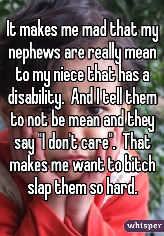 It makes me mad that my nephews are really mean to my niece that has a disability.  And I tell them to not be mean and they say "I don't care".  That makes me want to bitch slap them so hard.  