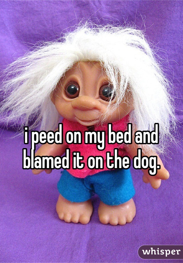 i peed on my bed and blamed it on the dog. 