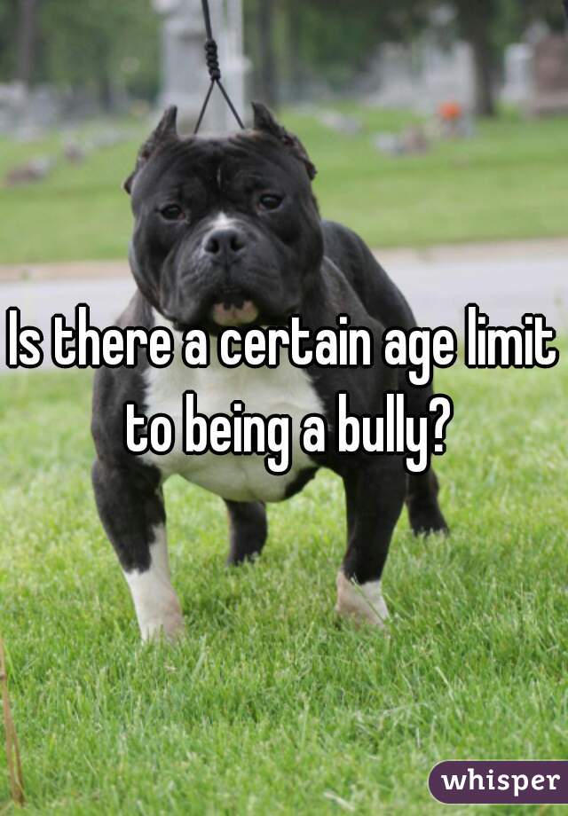 Is there a certain age limit to being a bully?