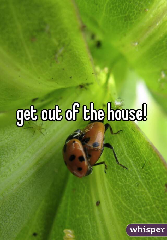 get out of the house! 