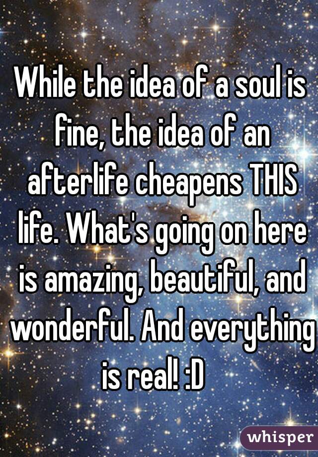 While the idea of a soul is fine, the idea of an afterlife cheapens THIS life. What's going on here is amazing, beautiful, and wonderful. And everything is real! :D   