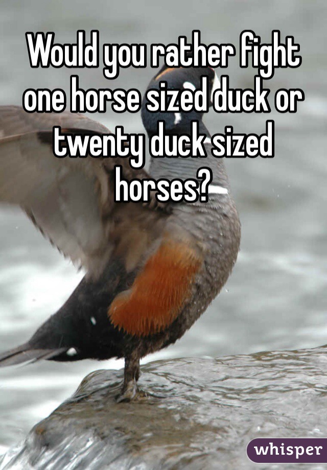 Would you rather fight one horse sized duck or twenty duck sized horses?