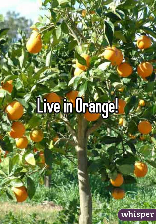 Live in Orange!