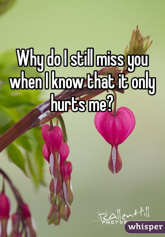 Why do I still miss you when I know that it only hurts me?