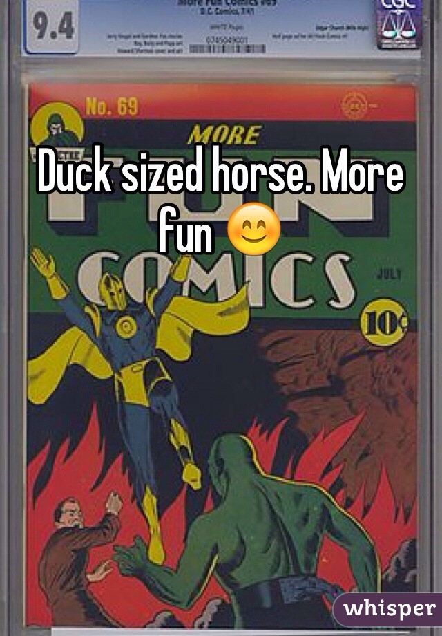 Duck sized horse. More fun 😊