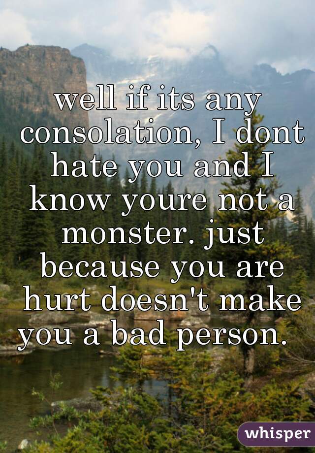 well if its any consolation, I dont hate you and I know youre not a monster. just because you are hurt doesn't make you a bad person.  