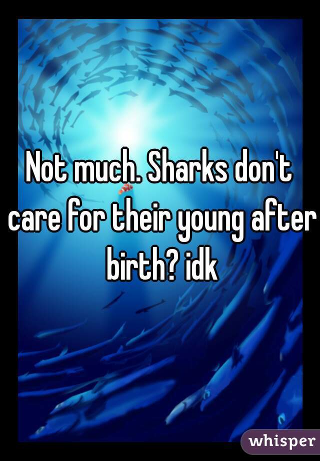 Not much. Sharks don't care for their young after birth? idk