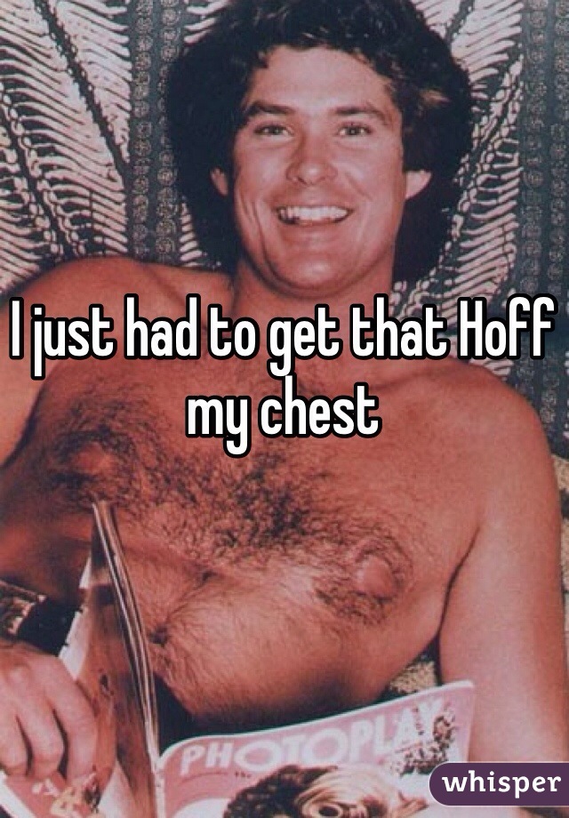 I just had to get that Hoff my chest 