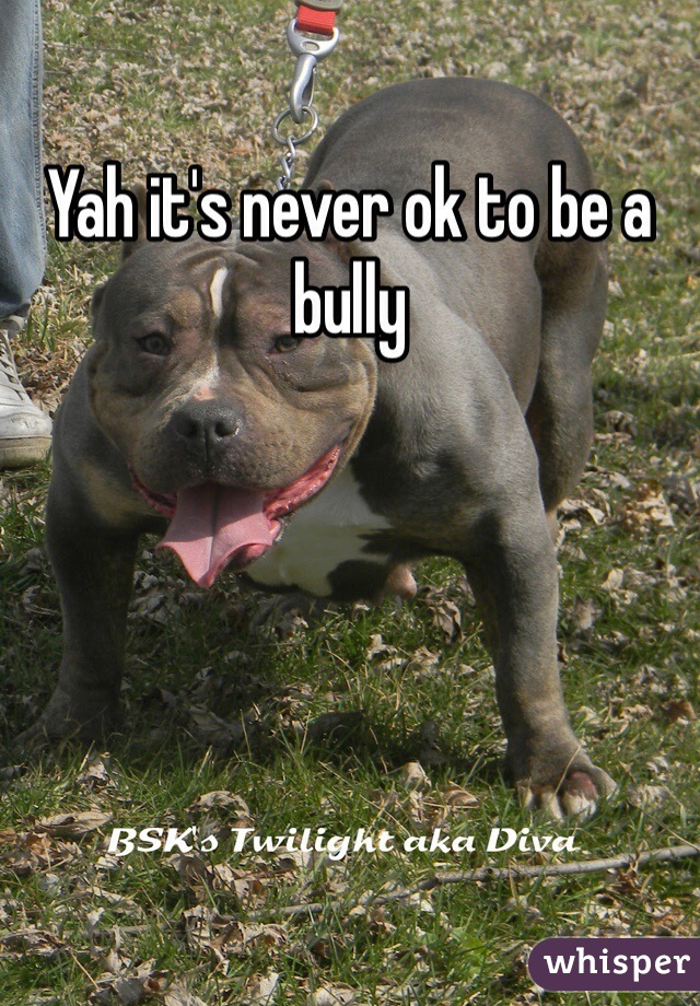 Yah it's never ok to be a bully 