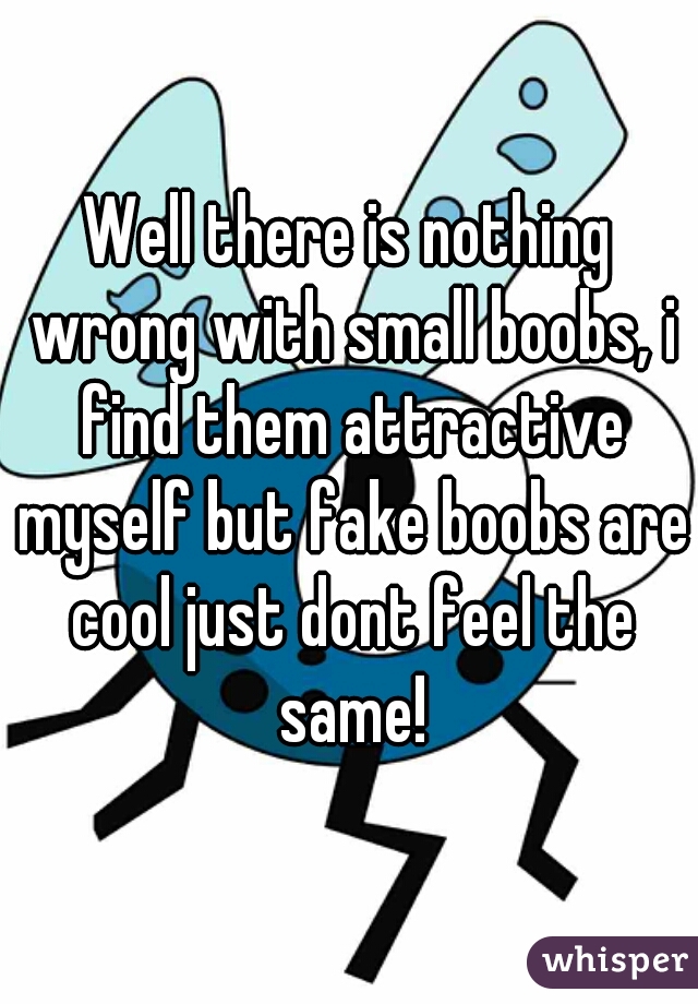 Well there is nothing wrong with small boobs, i find them attractive myself but fake boobs are cool just dont feel the same!