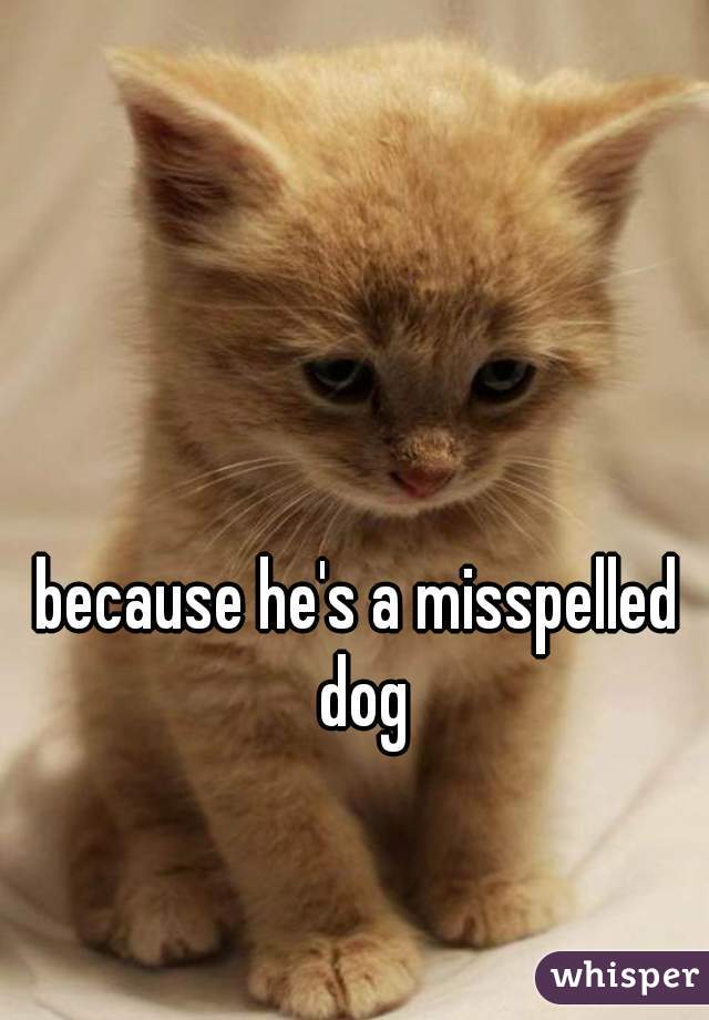 because he's a misspelled dog