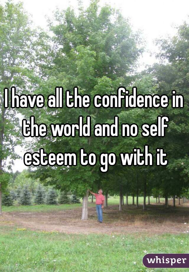 I have all the confidence in the world and no self esteem to go with it