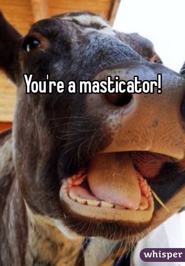 You're a masticator!