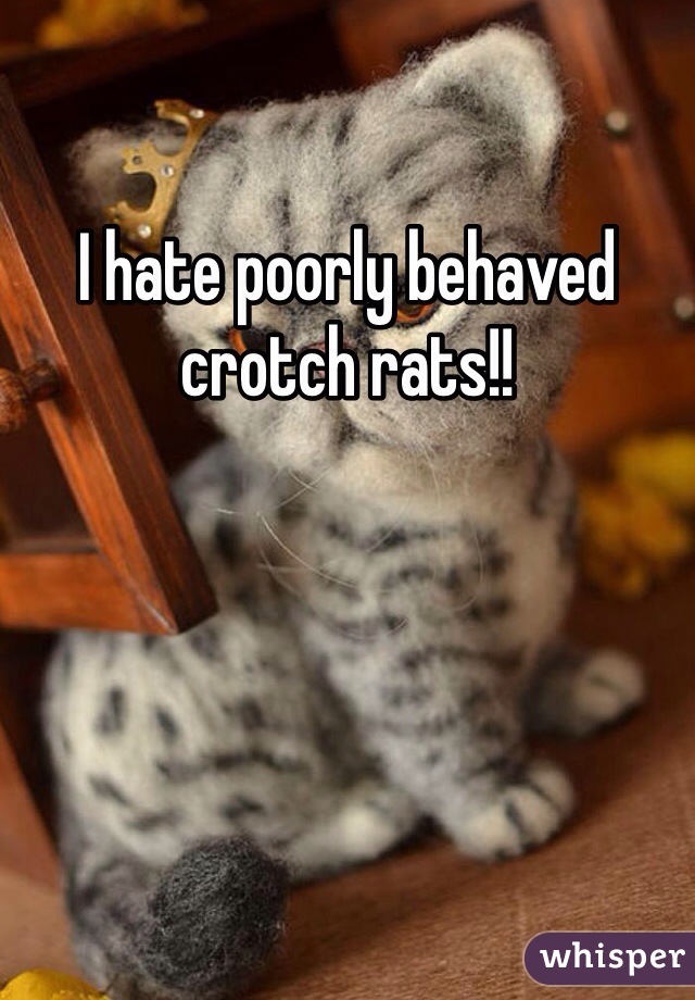 I hate poorly behaved crotch rats!!