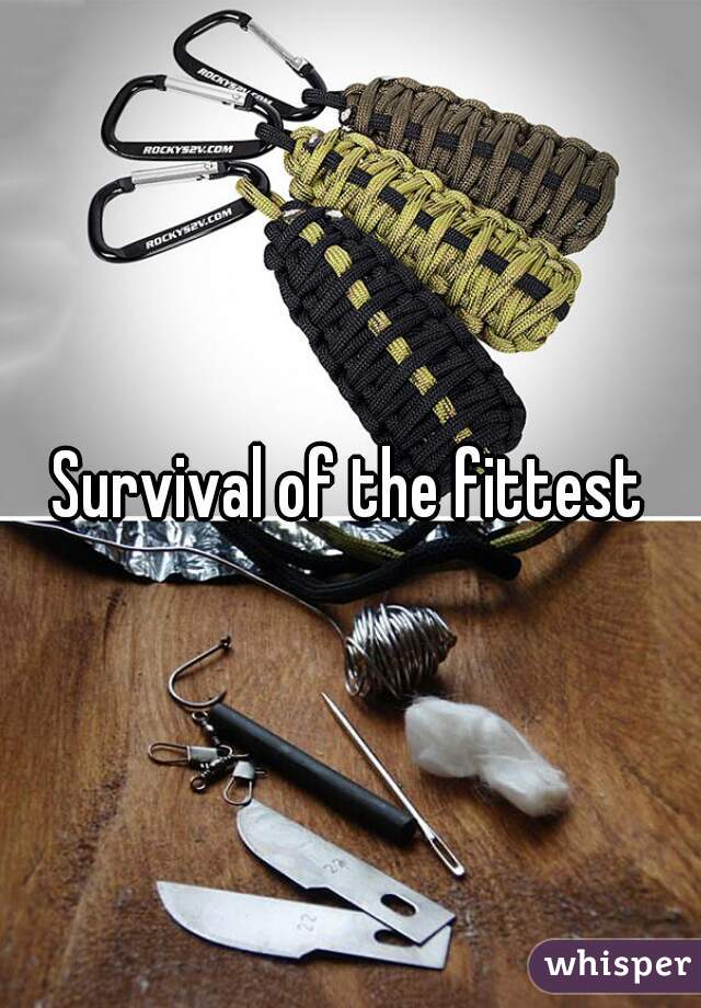 Survival of the fittest