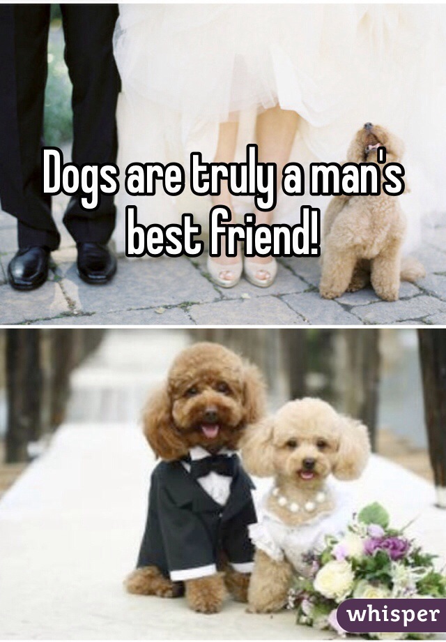 Dogs are truly a man's best friend!