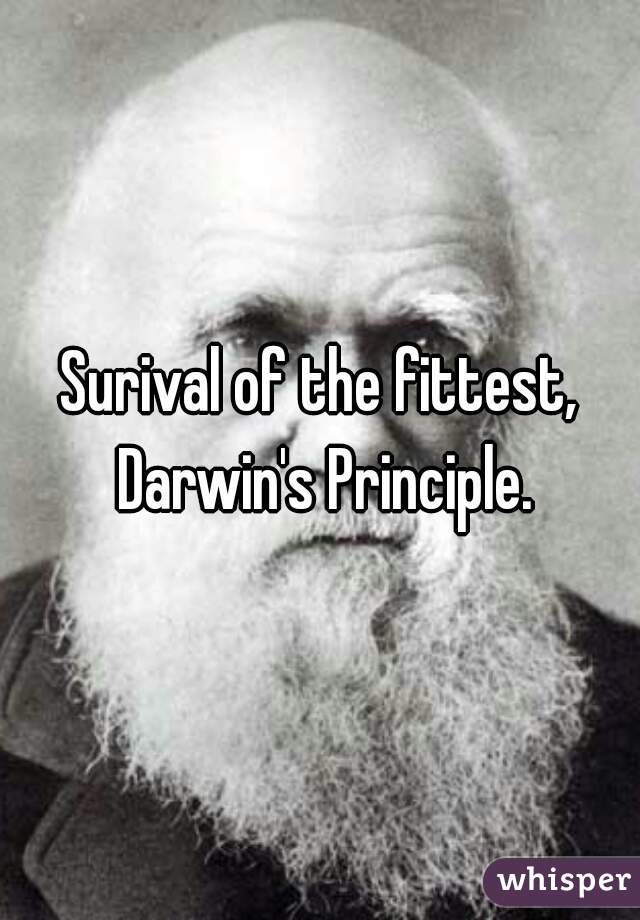 Surival of the fittest, Darwin's Principle.