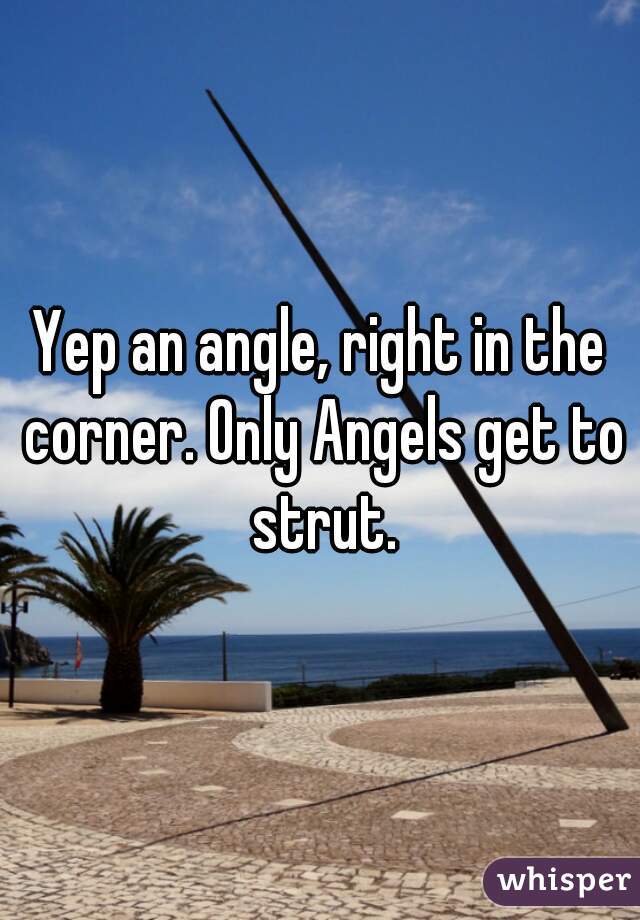 Yep an angle, right in the corner. Only Angels get to strut.