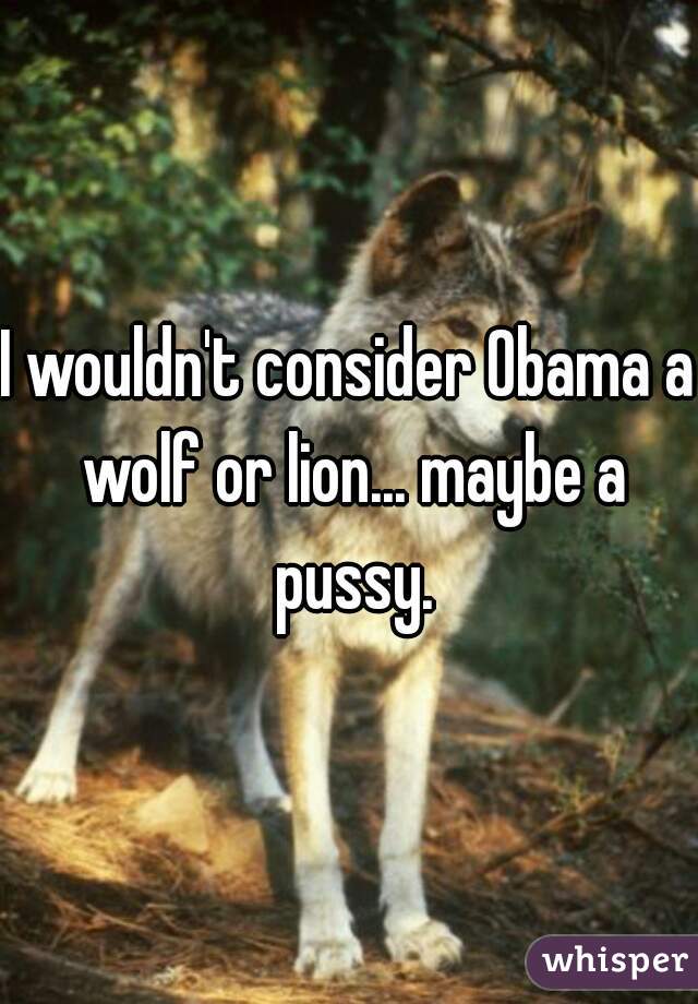 I wouldn't consider Obama a wolf or lion... maybe a pussy.