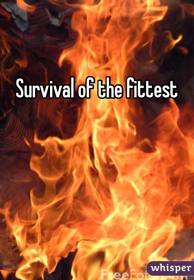 Survival of the fittest 