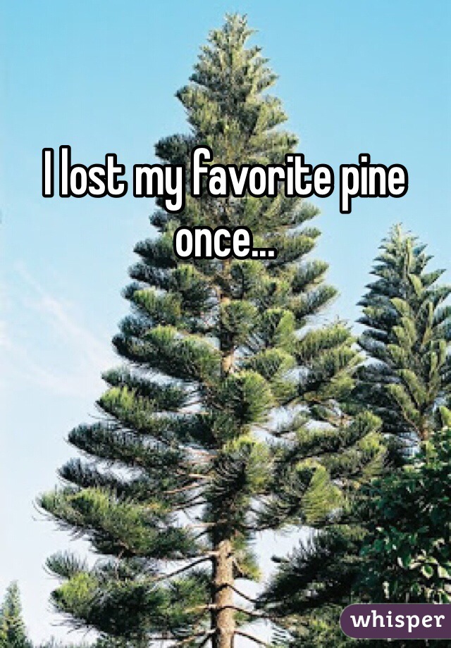 I lost my favorite pine once...