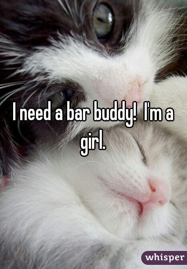 I need a bar buddy!  I'm a girl. 