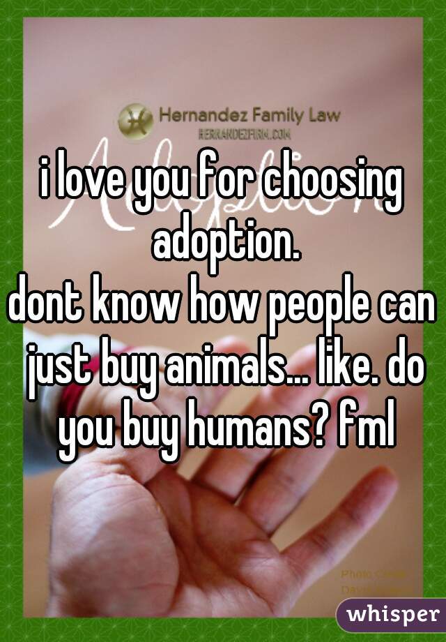 i love you for choosing adoption.
dont know how people can just buy animals... like. do you buy humans? fml