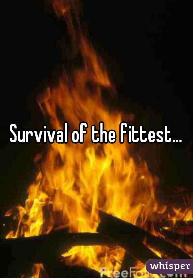 Survival of the fittest...