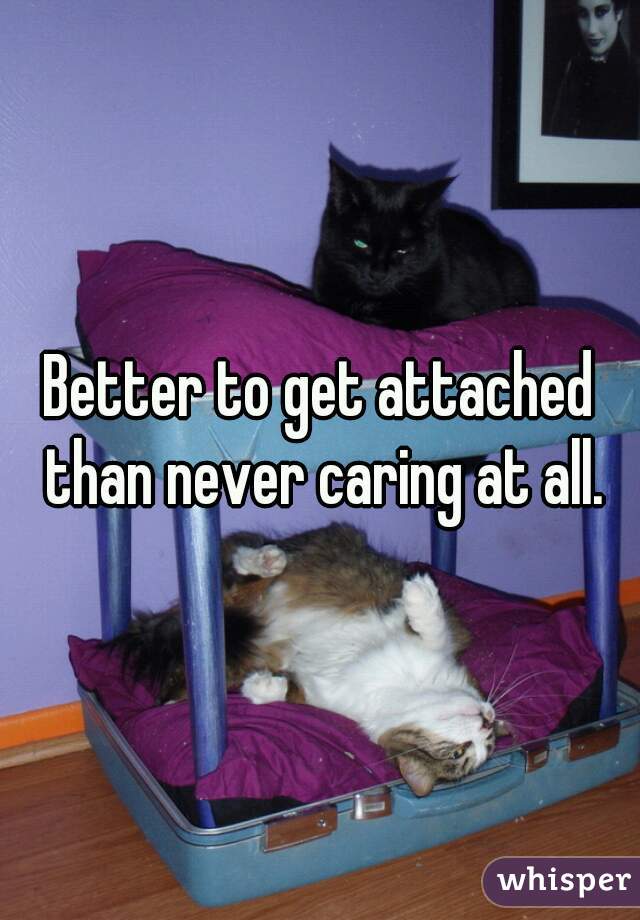 Better to get attached than never caring at all.