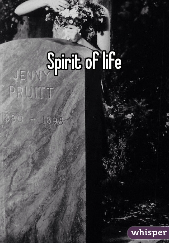 Spirit of life 