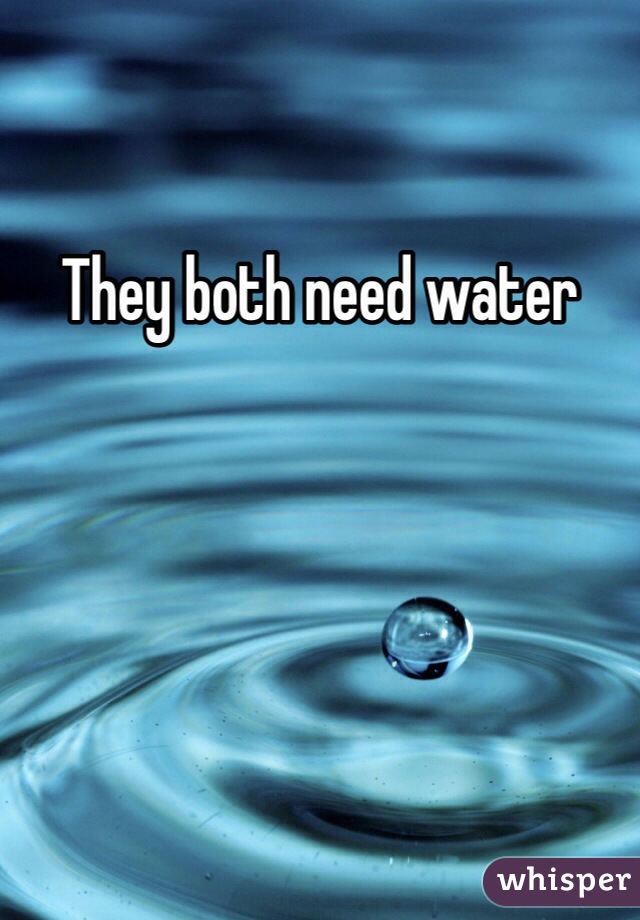 They both need water