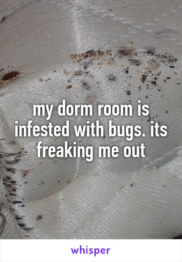 my dorm room is infested with bugs. its freaking me out