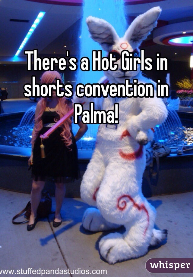 There's a Hot Girls in shorts convention in Palma!