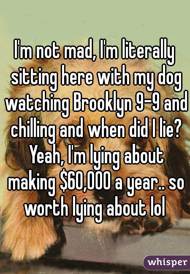 I'm not mad, I'm literally sitting here with my dog watching Brooklyn 9-9 and chilling and when did I lie? Yeah, I'm lying about making $60,000 a year.. so worth lying about lol 