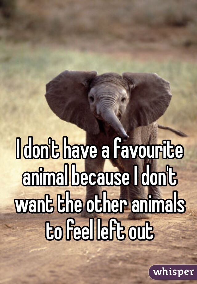 I don't have a favourite animal because I don't want the other animals to feel left out