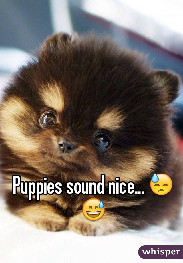 Puppies sound nice... 😓😅