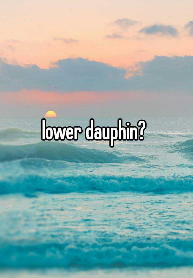 lower dauphin?