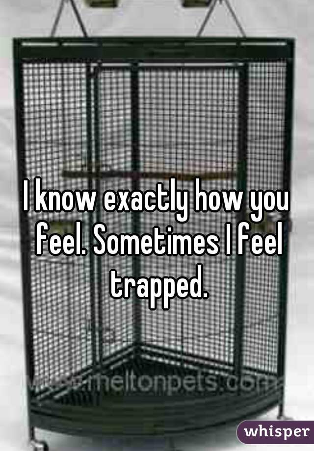 I know exactly how you feel. Sometimes I feel trapped.