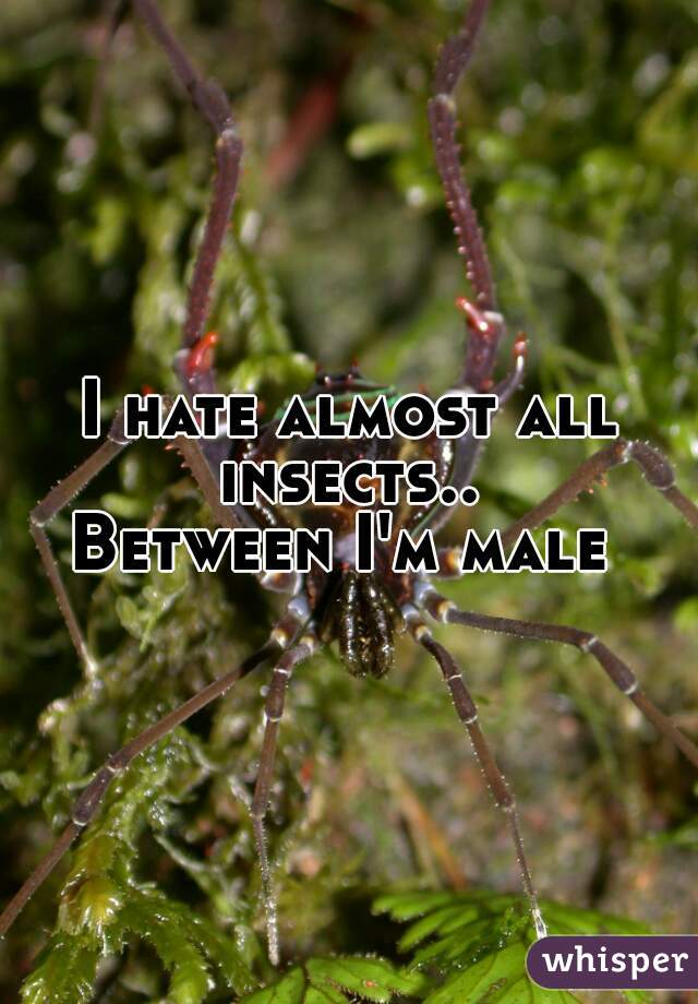 I hate almost all insects.. 
Between I'm male 