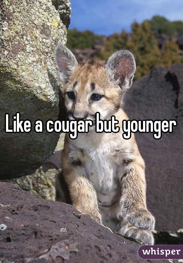 Like a cougar but younger