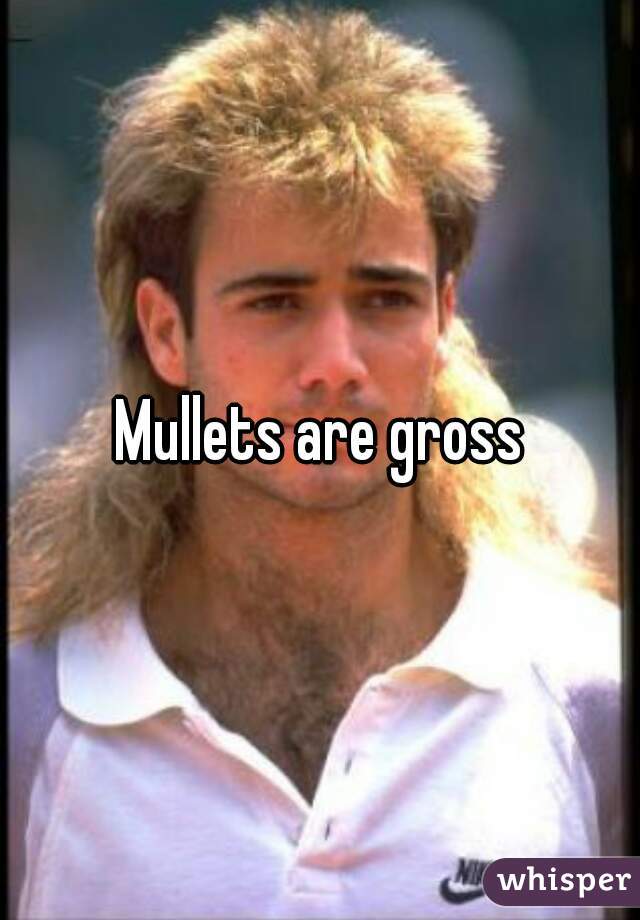 Mullets are gross