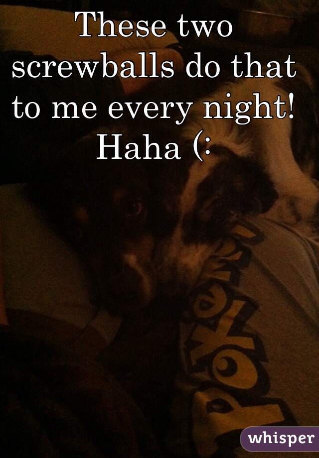 These two screwballs do that to me every night! Haha (: