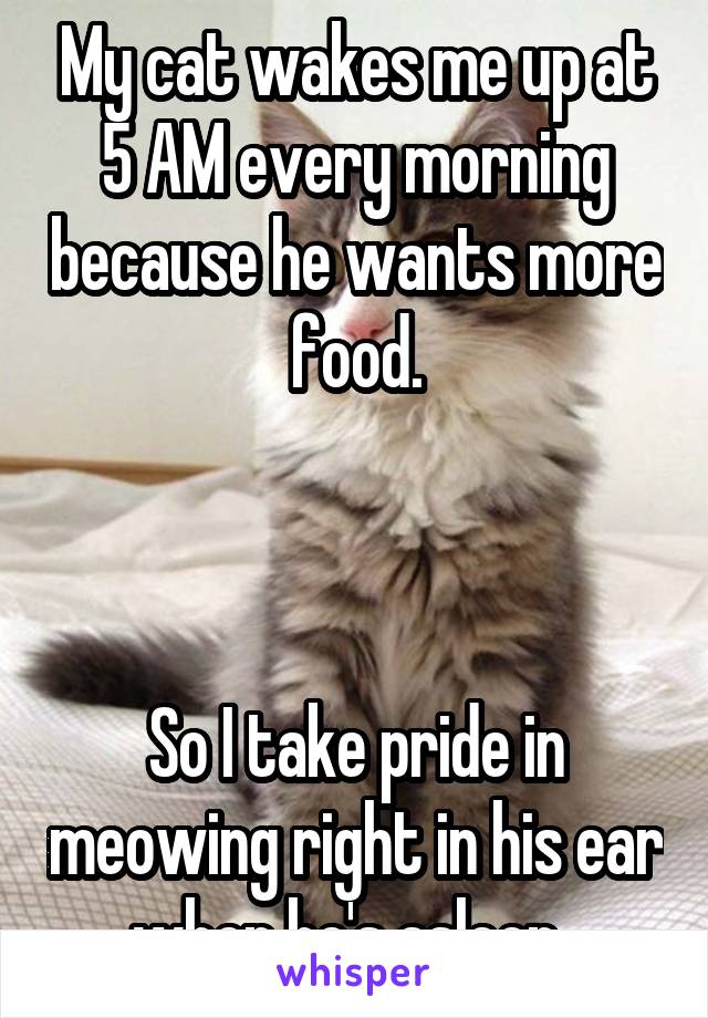 My cat wakes me up at 5 AM every morning because he wants more food.



So I take pride in meowing right in his ear when he's asleep. 