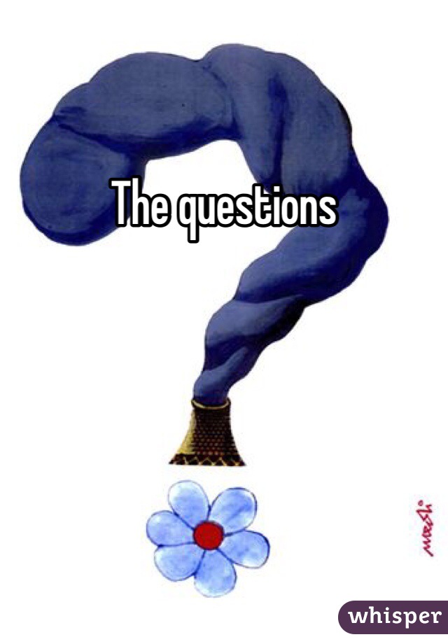 The questions