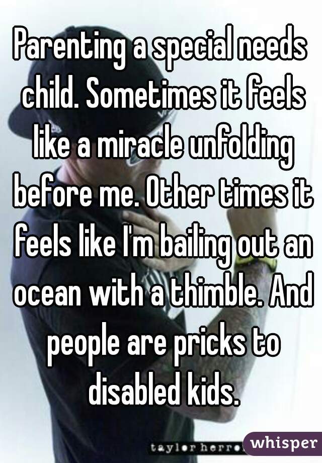 Parenting a special needs child. Sometimes it feels like a miracle unfolding before me. Other times it feels like I'm bailing out an ocean with a thimble. And people are pricks to disabled kids.