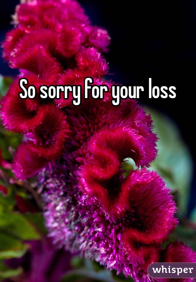So sorry for your loss