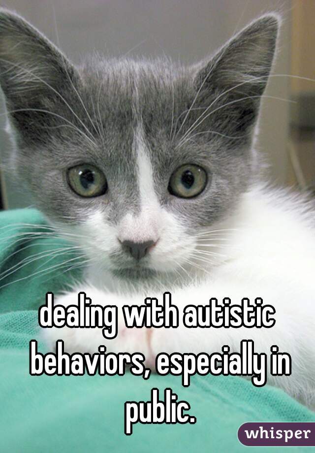 dealing with autistic behaviors, especially in public.