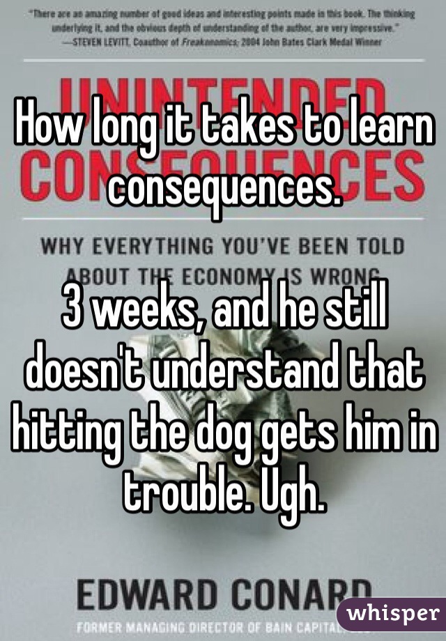 How long it takes to learn consequences. 

3 weeks, and he still doesn't understand that hitting the dog gets him in trouble. Ugh. 