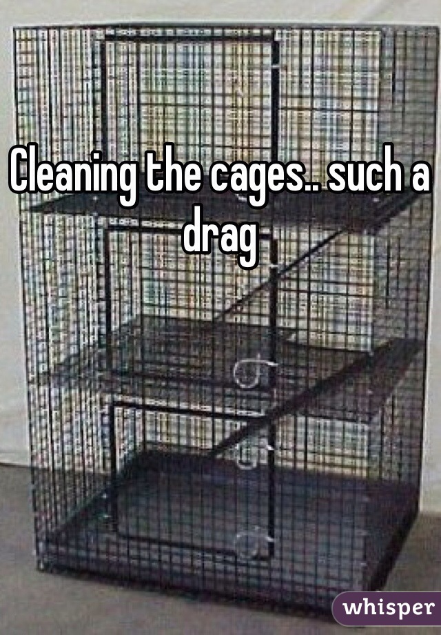 Cleaning the cages.. such a drag